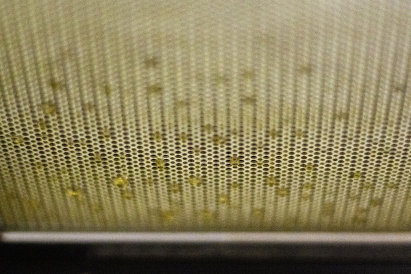 フード清掃の画像